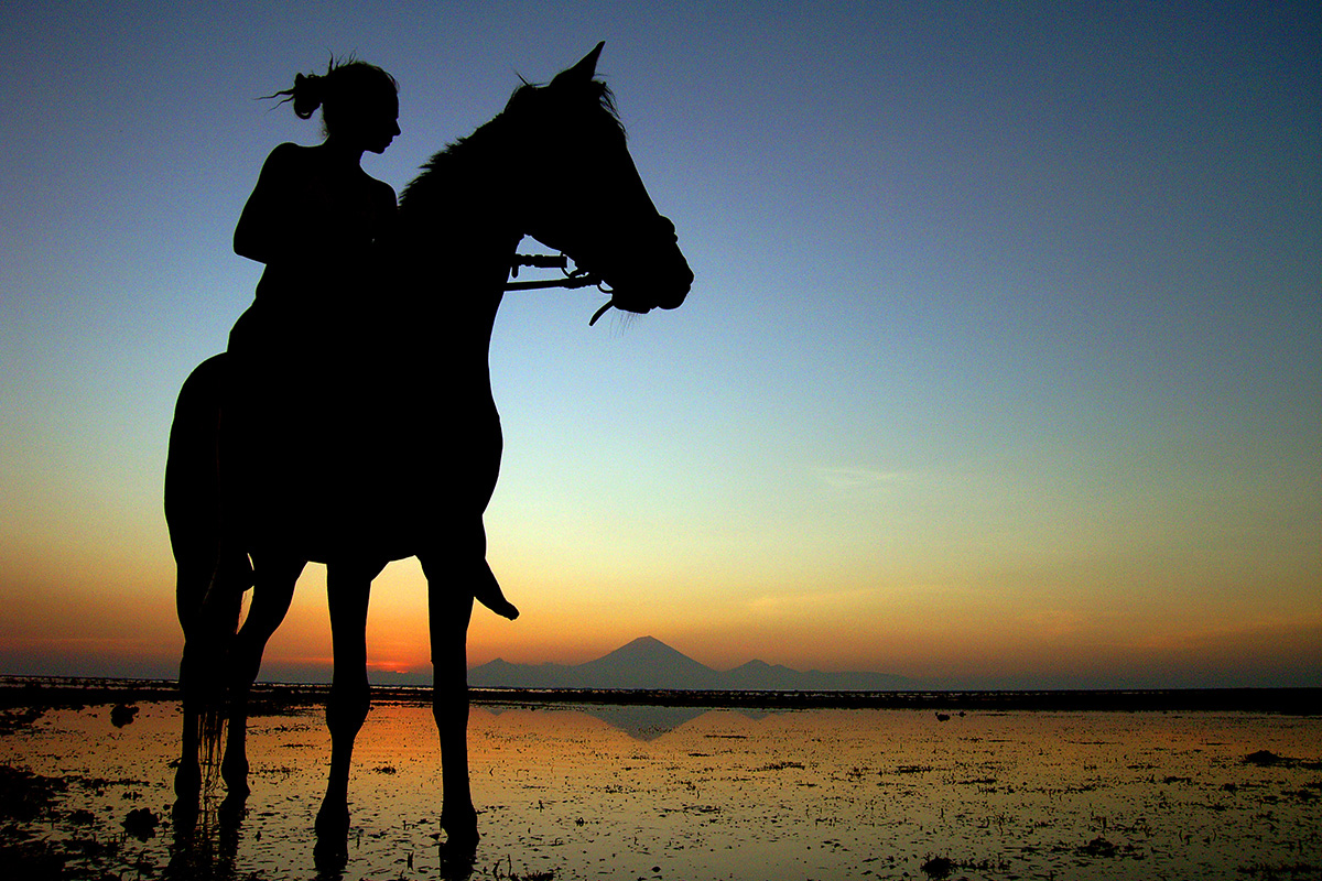 Horse-riding, Gili Trawangan, Lombok island