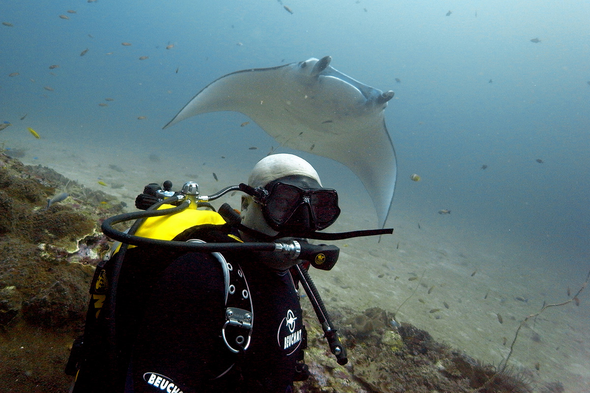 Indonoceans guest with Manta ray, South Komodo, Komodo national Park